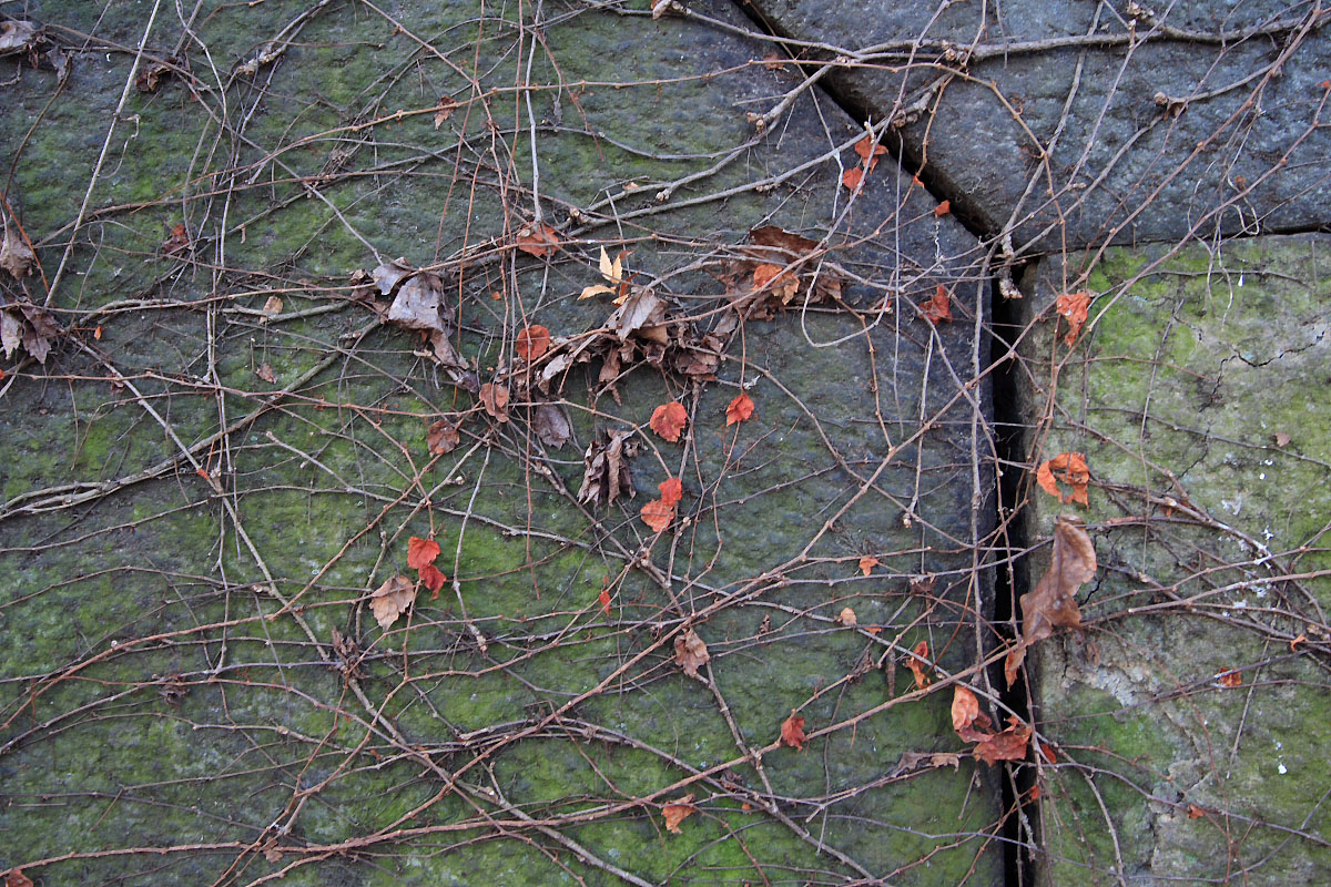 d0032258_761861.jpg
