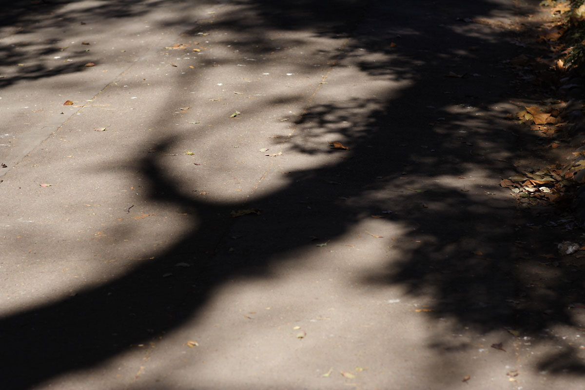 d0032258_76615.jpg