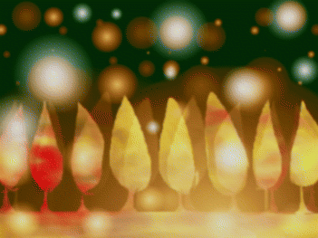 b0027290_3593982.gif