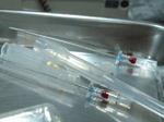 b0043506_2121023.gif