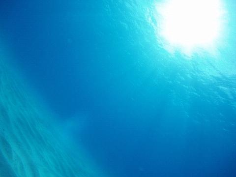 c0072306_11301089.jpg