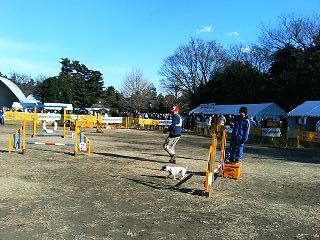a0040708_1341419.jpg