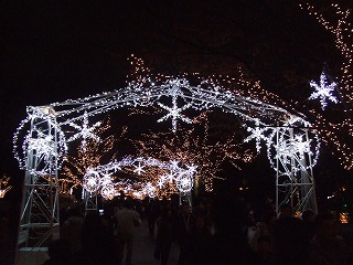 c0066318_10053.jpg