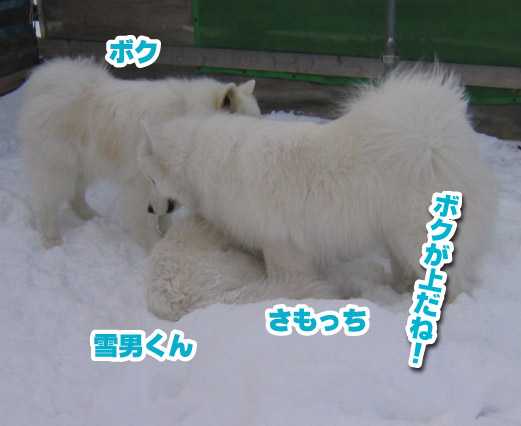 a0044521_142719.jpg