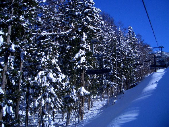 a0005233_9202256.jpg