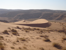 b0038735_4593024.jpg