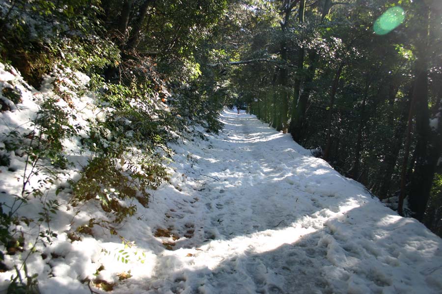 雪の金華山_c0070535_2132407.jpg