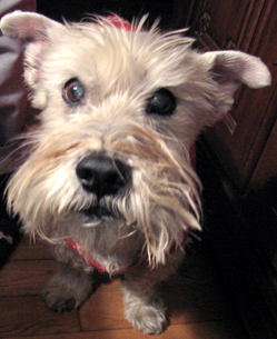 e0022239_42833.jpg