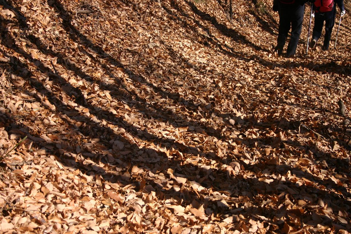 小さな山（峰山）_c0008948_1427288.jpg