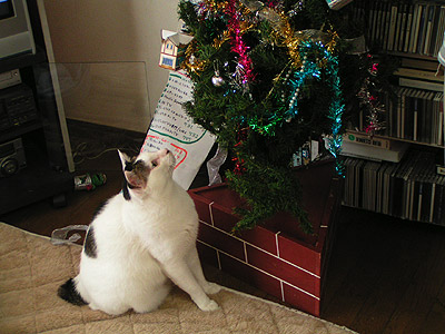 狙われたクリスマスツリー2005_a0028451_20522218.jpg