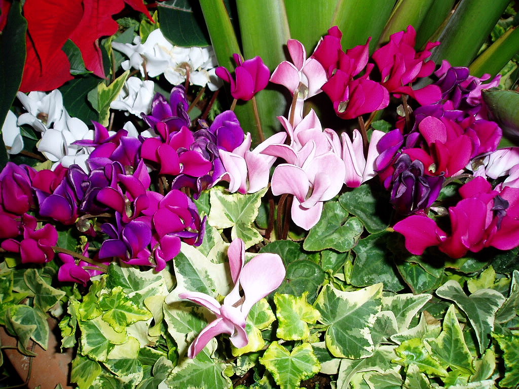 e0064158_0222080.jpg