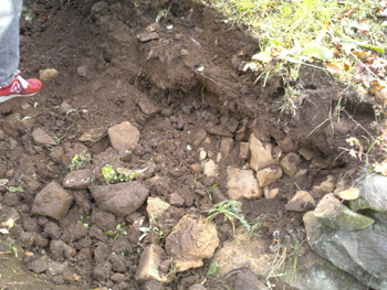 e0001170_1161699.jpg