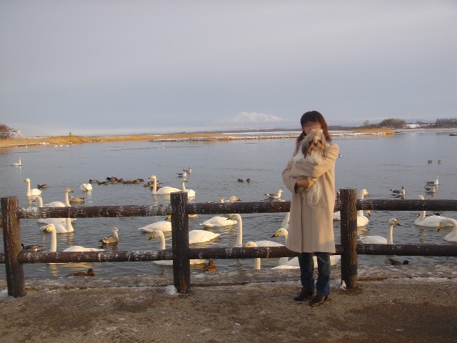 c0038983_5254062.jpg