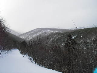a0043193_12224989.jpg