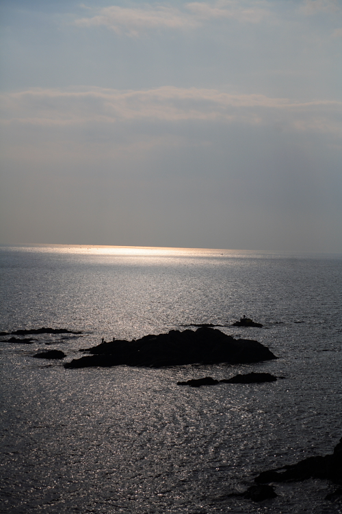 c0032494_822732.jpg