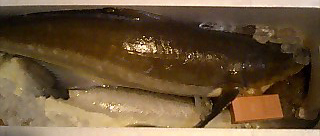 e0058094_1716195.jpg