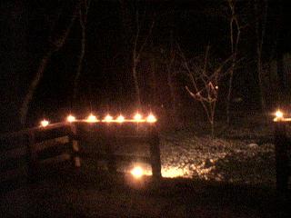 a0009005_9293526.jpg