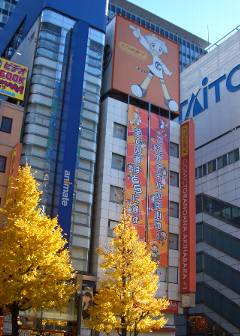 b0006405_1730279.jpg