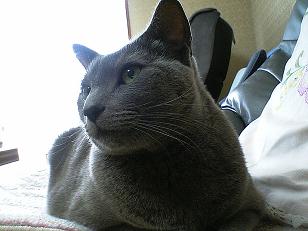 c0066610_19114023.jpg