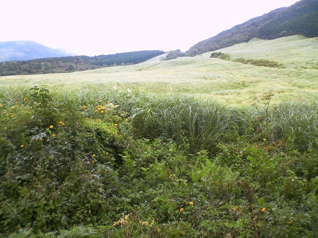 f0023210_2247584.jpg