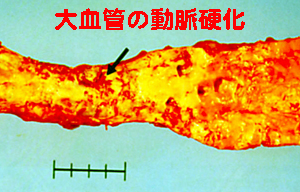 a0055913_275341.jpg