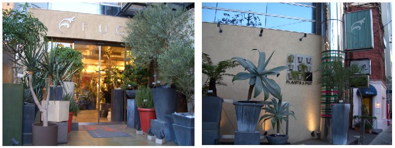 キラー通り fuga 新パンダごはんの窓 キラー通り fuga 新パンダごはんの窓