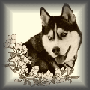 f0028125_23465589.gif