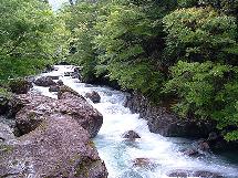 a0051128_6334635.jpg