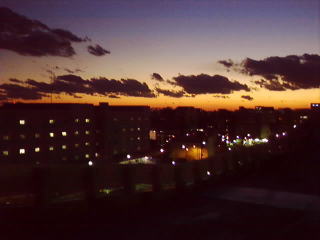 b0040332_2304566.jpg