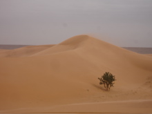 b0038735_15555317.jpg