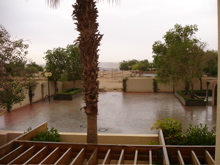 b0038735_1555588.jpg