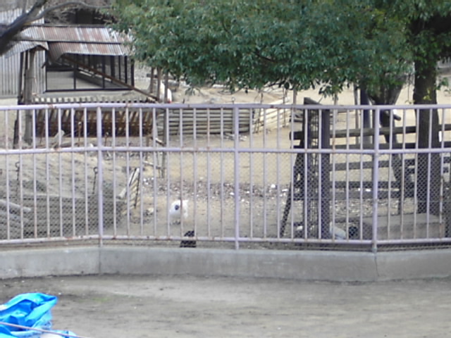 a0053573_0362348.jpg