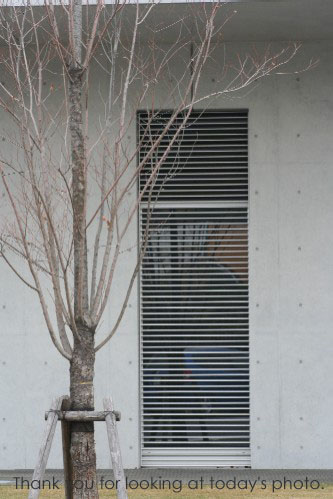 e0027083_13394485.jpg