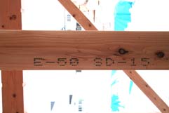 県公舎鷹巣04:木材検査2+C棟軸組01_e0054299_1212433.jpg