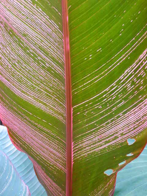 e0064158_0441472.jpg