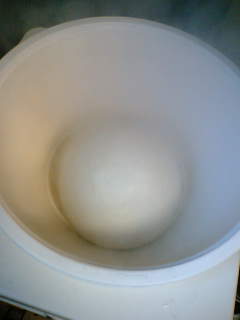 c0026594_97222.jpg