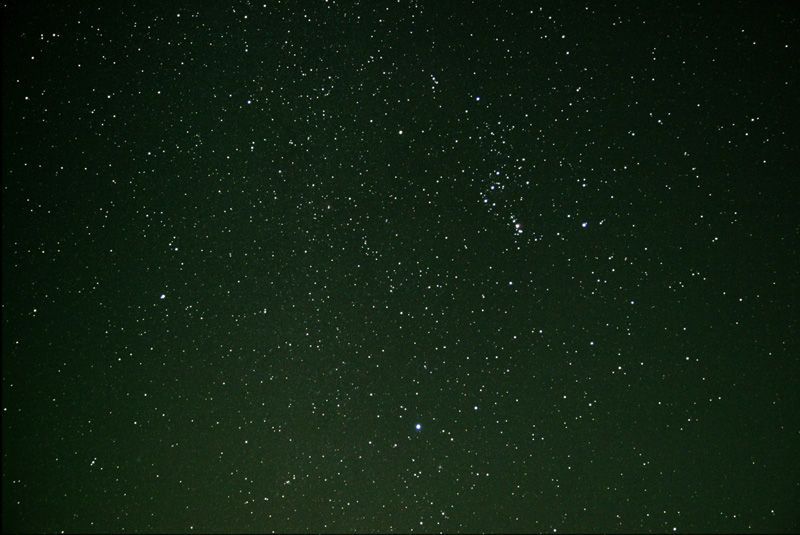 b0024798_650531.jpg