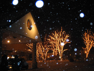 a0055906_13585926.jpg