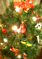 e0034012_3581995.jpg