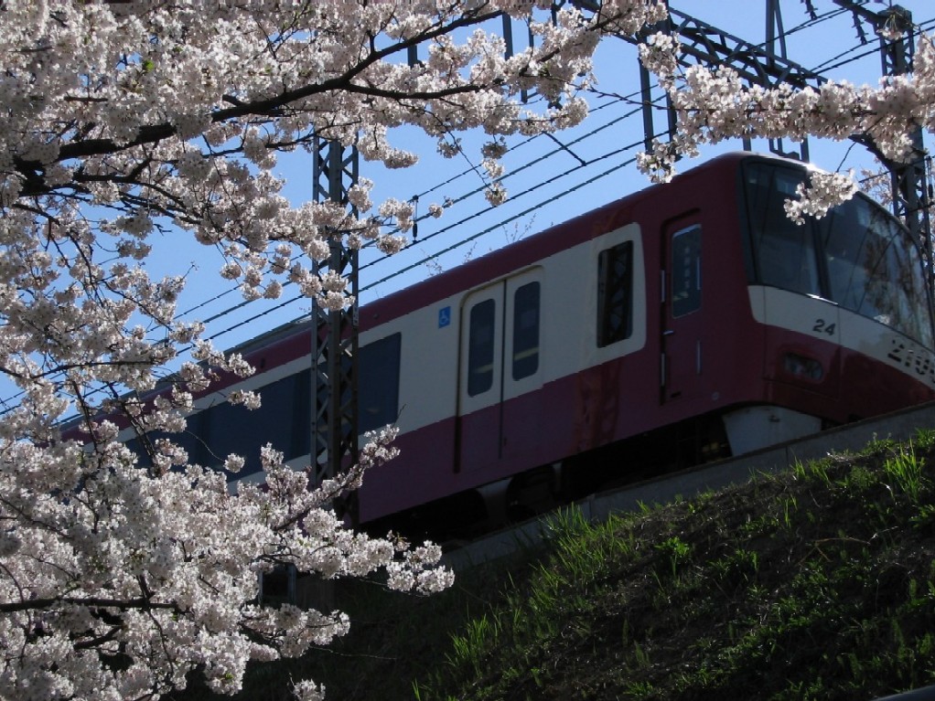 d0044222_0143239.jpg