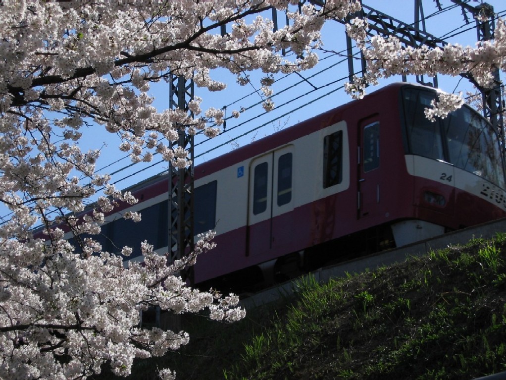 デハ７１２の今年の画像ベスト１２・鉄道編その１_d0044222_0143239.jpg