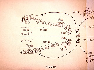 e0072023_20203371.jpg
