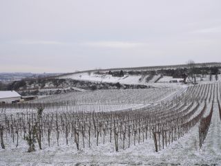 d0014524_18431261.jpg