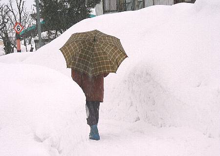 雪国のくらし（小学校４年生・社会）_d0035104_17432433.jpg