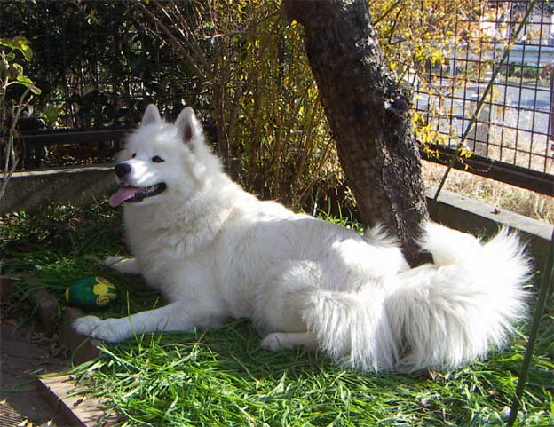 e0018604_1671147.jpg