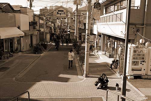 大掃除_c0068424_1203126.jpg
