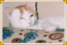 d0041032_174521.gif