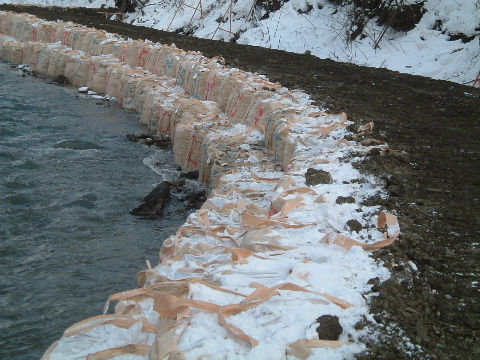 b0067569_1436941.jpg