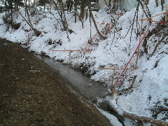 b0067569_14401945.jpg