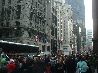 a0027277_1550349.jpg